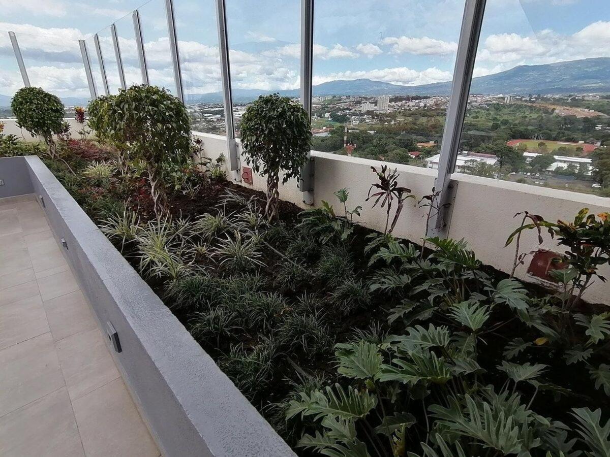 Boho Chic, Apart- Condo Cerca De Sjo Intl Airport هيريديا المظهر الخارجي الصورة
